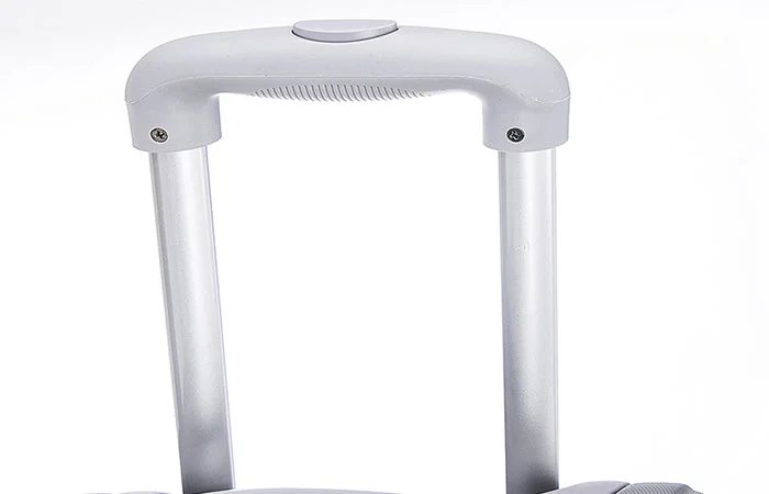 Sunburst Textured Abs Luggage